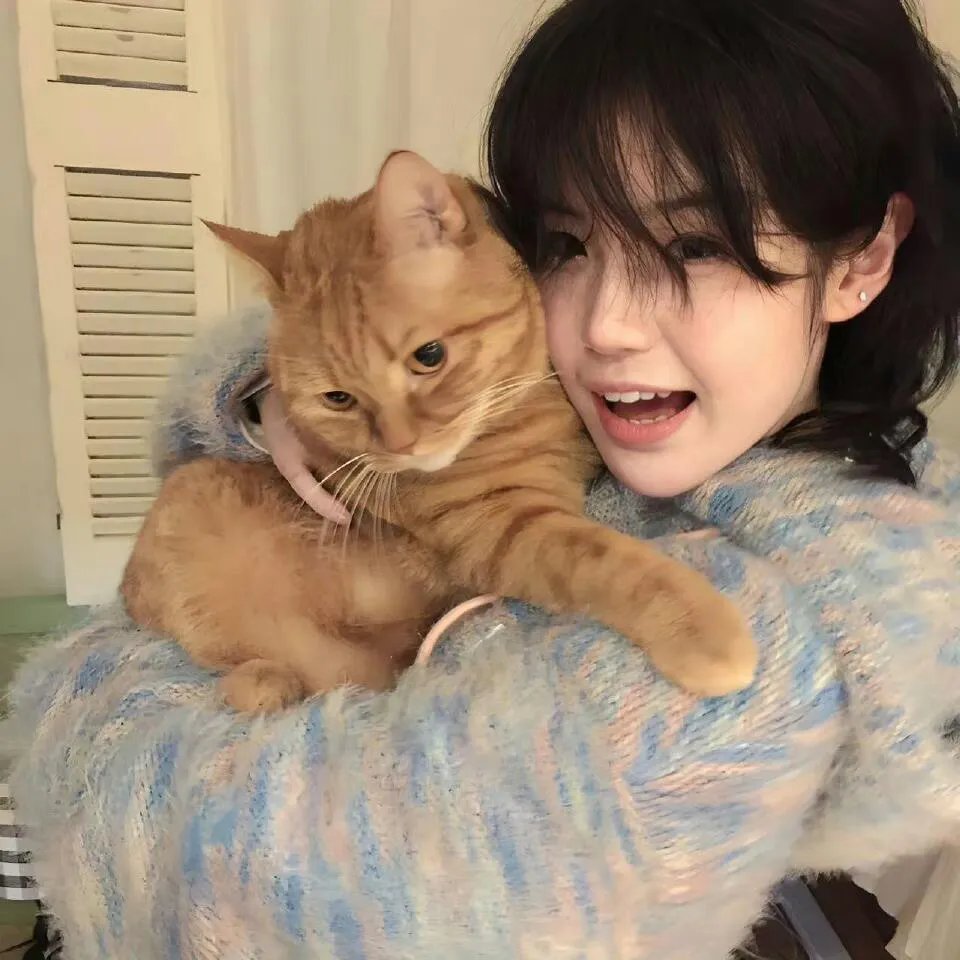 顾总，那晚东窗事发了